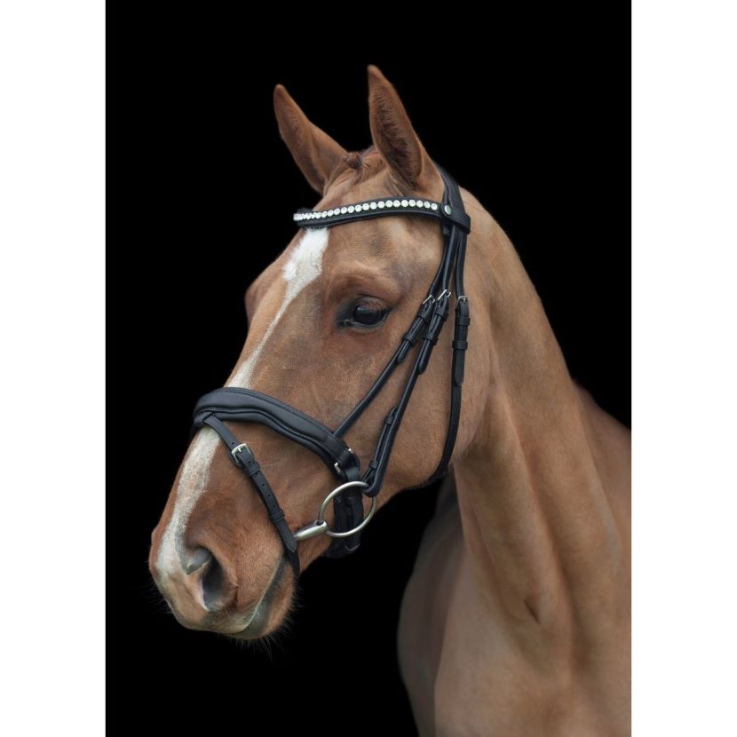 Ecorider Ultra Comfort Navan Build Your Own Bridle - black