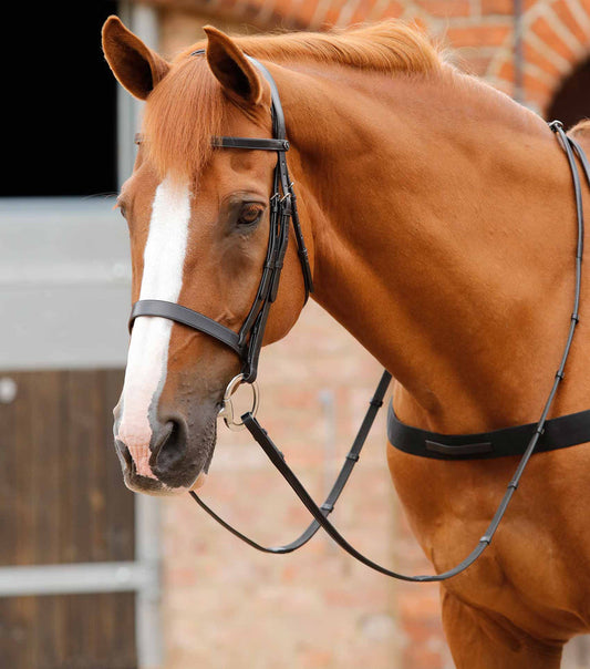 Premier Equine Primo Hunter Bridle