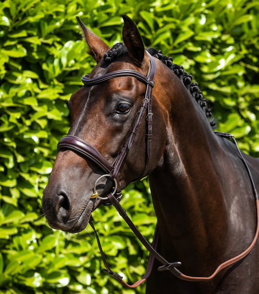 Premier Equine Verdura Anatomic Snaffle Bridle in black build your own bridle