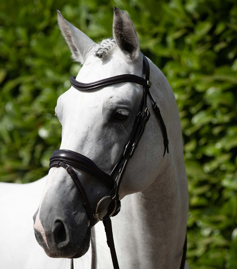 Premier Equine Rizzo Anatomic Snaffle Bridle with Flash