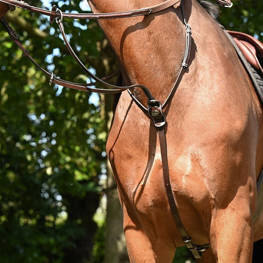 Jump'In Running Martingale - Week Collection (Copy)