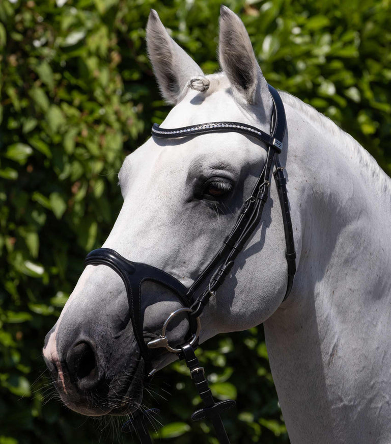 Premier Equine San Paolo anatomical bridle