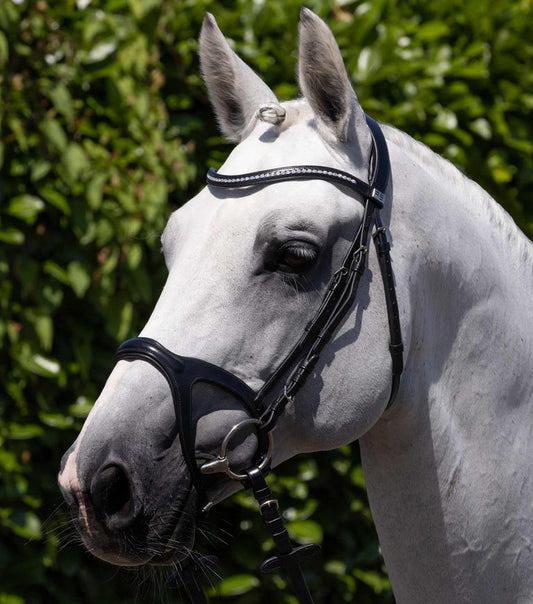 Premier Equine San Paolo anatomical bridle