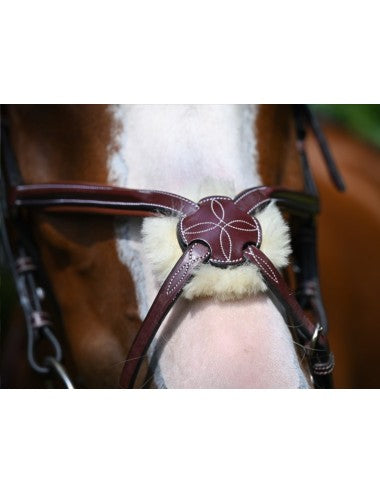 Jump'In Tuesday Bridle Grackle noseband- Week Collection