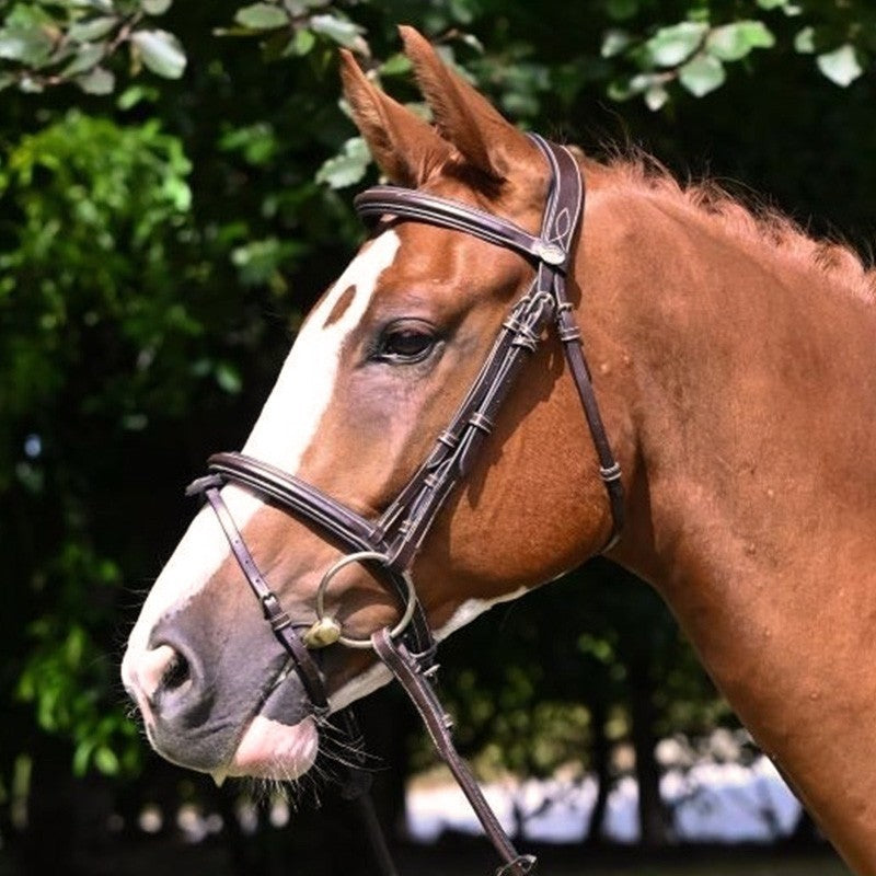 Jump'In Tuesday Bridle Flash noseband- Week Collection
