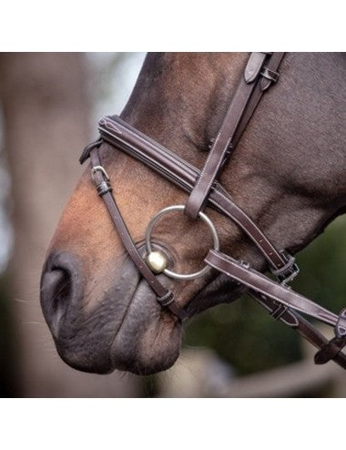 Jump'in Flash Noseband - Week collection