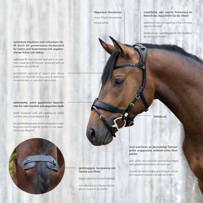 Stubben Freedom II Bridle with magic tack browband