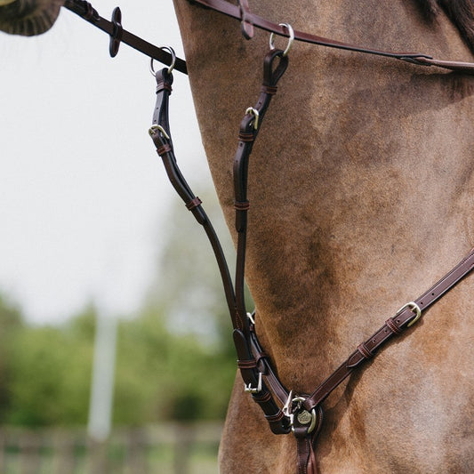 Jump'In Adjustable martingale - Origin Range