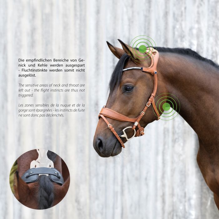 Stubben Freedom II Bridle with magic tack browband