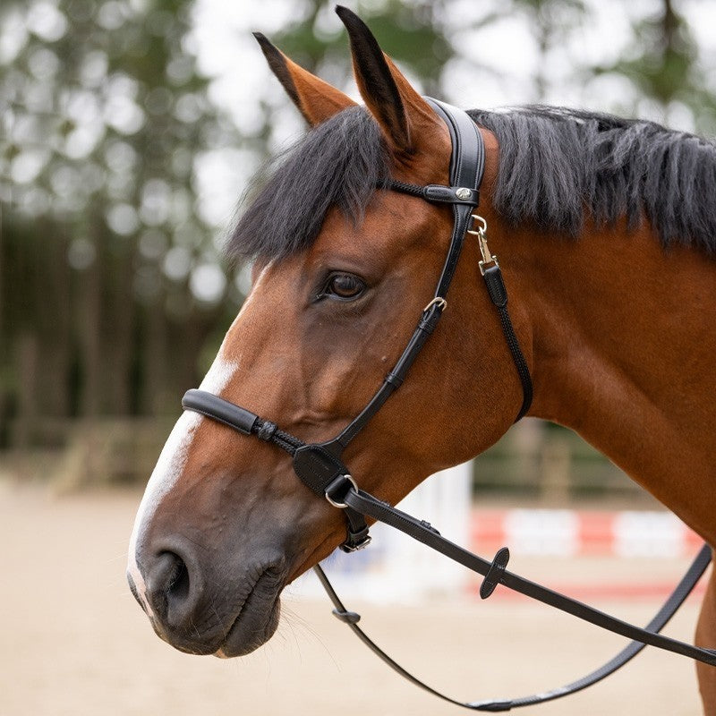 Jump'in Bitless Bridle - Origin series