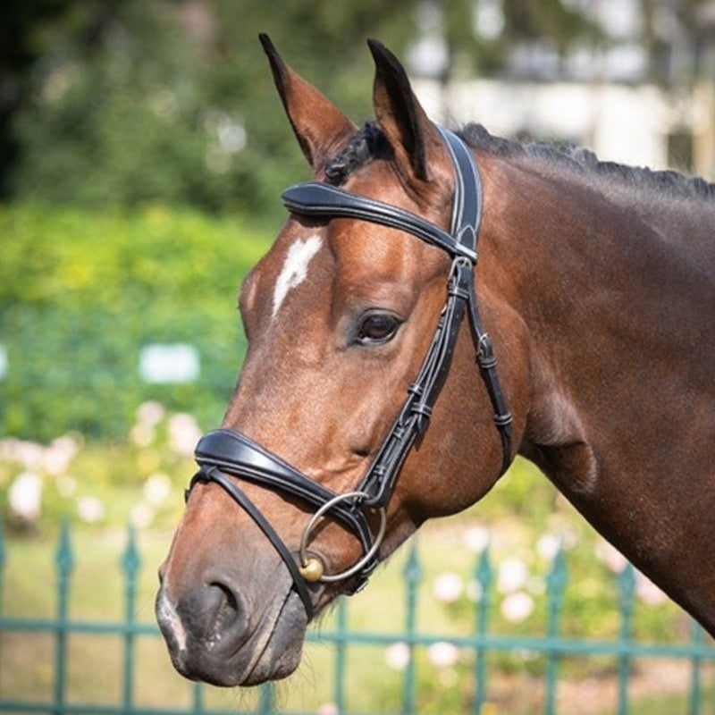 Jump'in Bruxelles Flash Bridle - One Collection