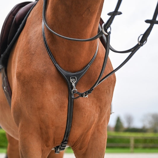 Jump'In Running martingale - Origin Range