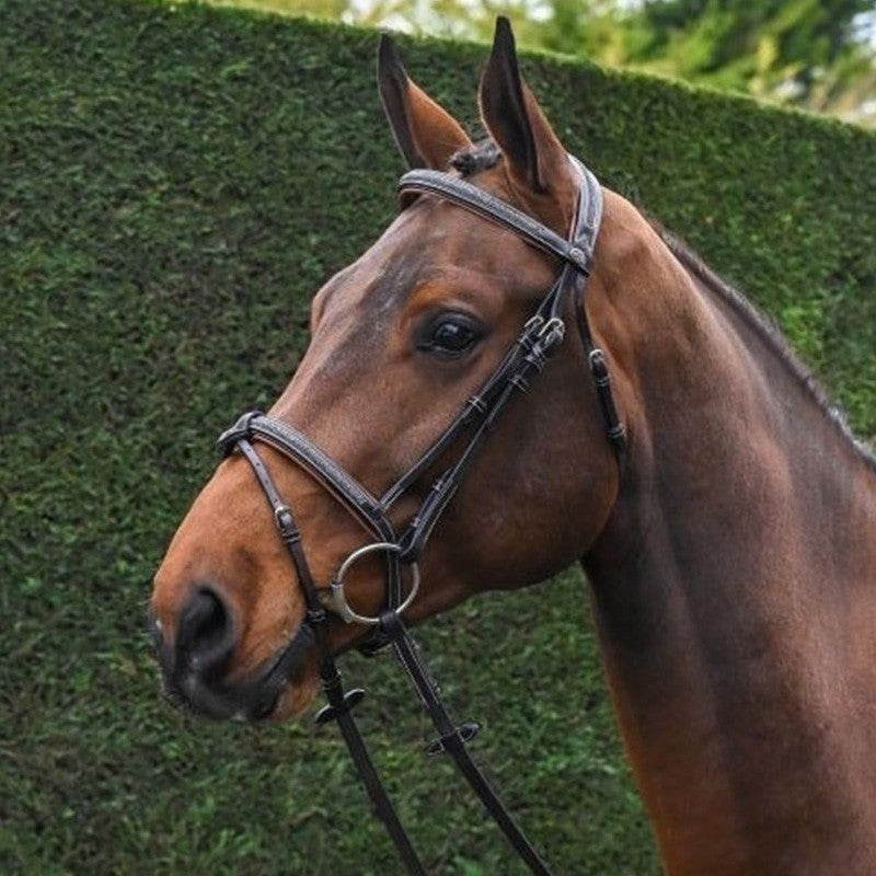 Jump'In Crystal Bridle Flash noseband- Week Collection