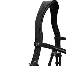 Stubben Pro-jump 2700 headpiece