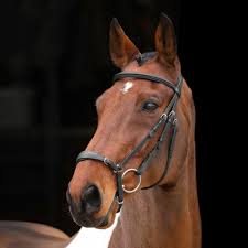 Shires Velociti RAPIDA Padded Drop Bridle