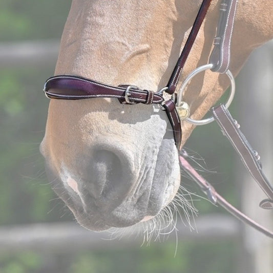 Jump'in Drop Noseband - Week collection