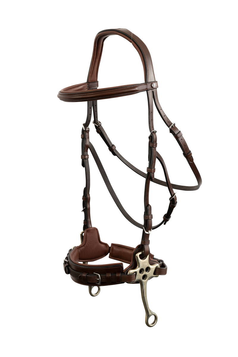 Trust Sopot Bitless Hackamore bridle