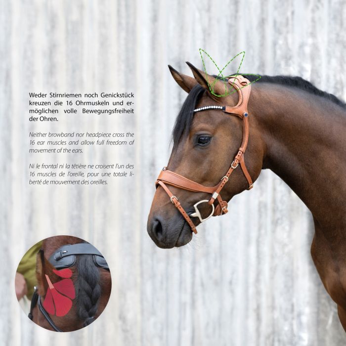 Stubben Freedom II Bridle with magic tack browband