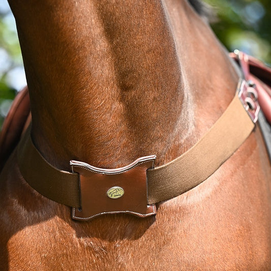 Jump'In Elastic Breast Girth Breastplate - Week Collection