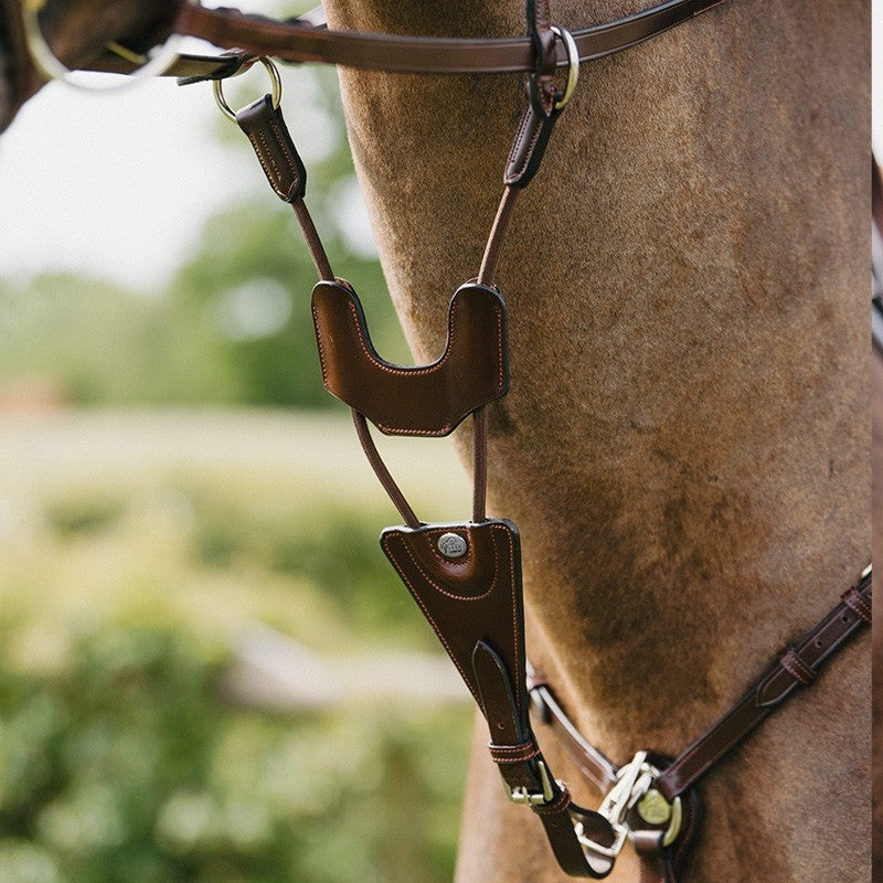 Jump'In Elastic martingale - Origin Range