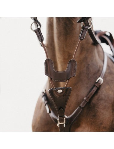 Jump'In Elastic martingale - Origin Range