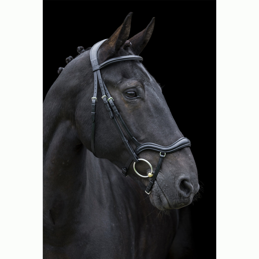 Ecorider Ecosoft Finesse Build Your Own Bridle - black