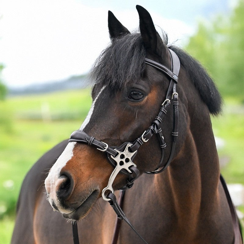 Jump'in Hackamore Bitless Bridle - Origin range