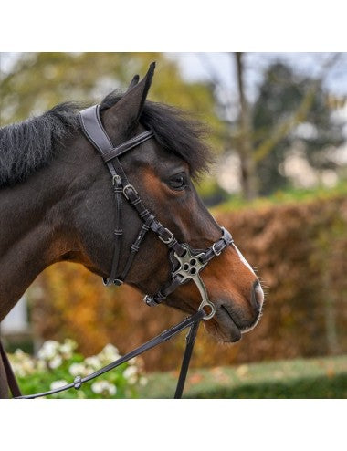 Jump'in Hackamore Bitless Bridle - Origin range