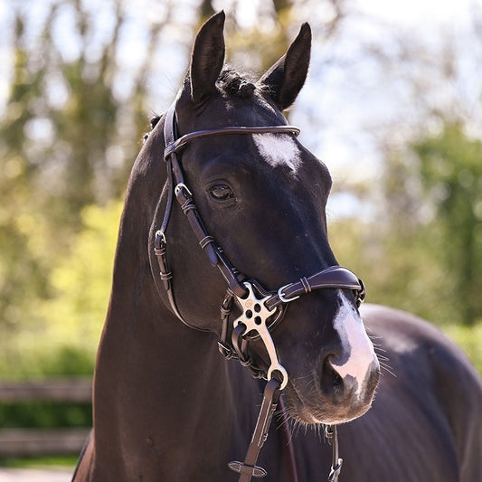 Jump'In Hackamore Bitless Bridle - Week Collection