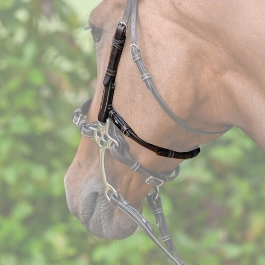 Jump'in Hackamore Cheekpieces - Week collection