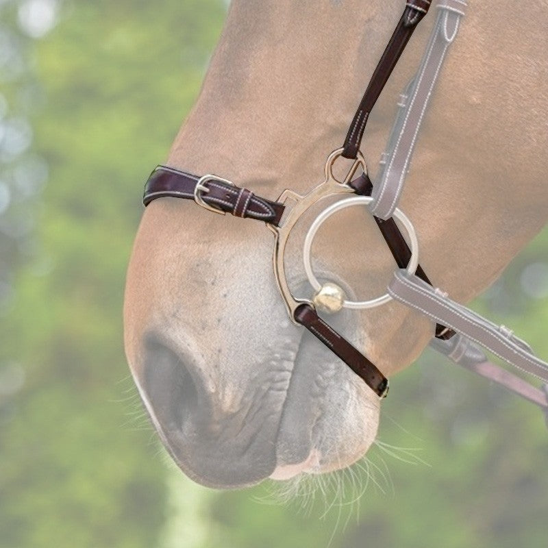 Jump'in Combination Noseband - Week collection