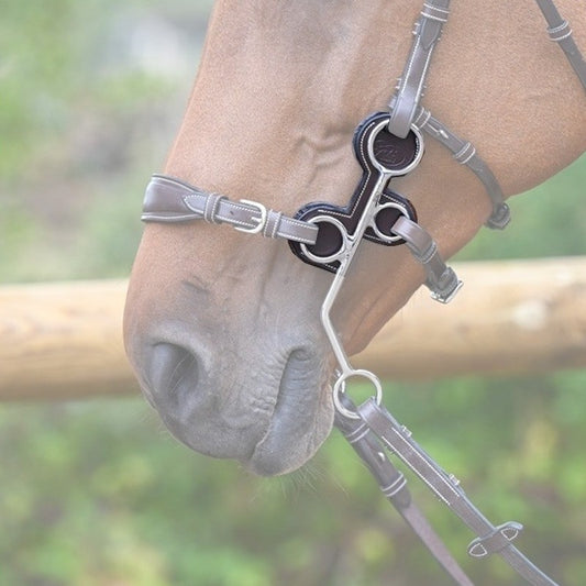 Jump'in Hackamore Protectors