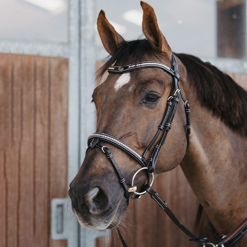 Jump'in Havana Clincher Flash Bridle - Origin series