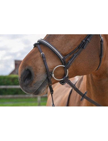 Jump'in Havana Clincher Flash Bridle - Origin series