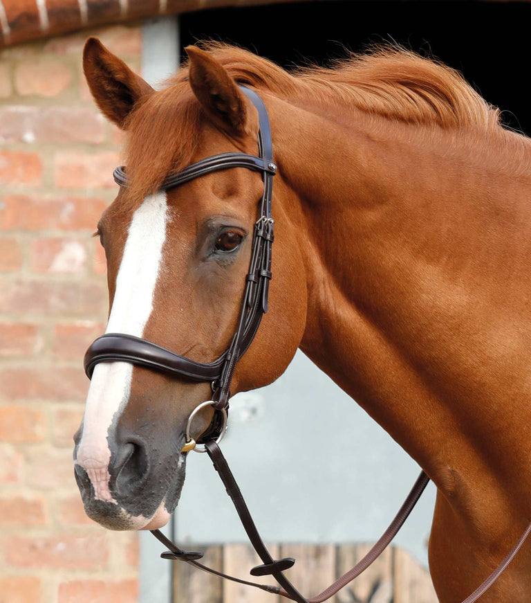 Premier Equine Lambro Anatomic Bridle with Crank Noseband