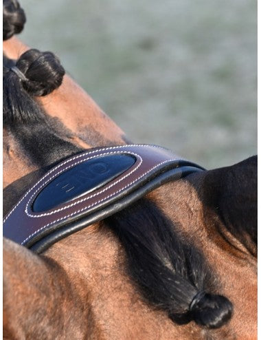 Jump'in Liberty Bridle - One Collection