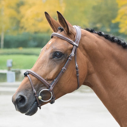 Jump'in London Flash Bridle - One Collection