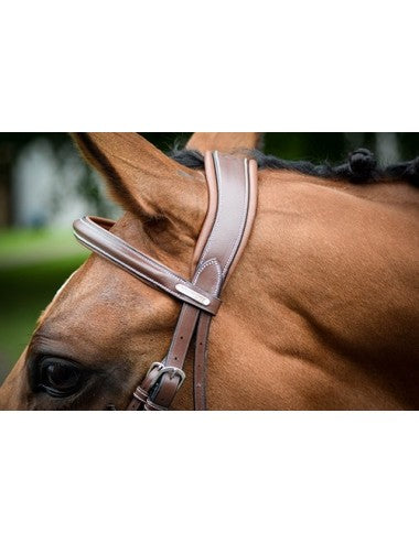Jump'in London Flash Bridle - One Collection