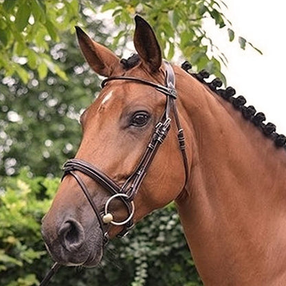 Jump'In Monday Bridle flash noseband- Week Collection