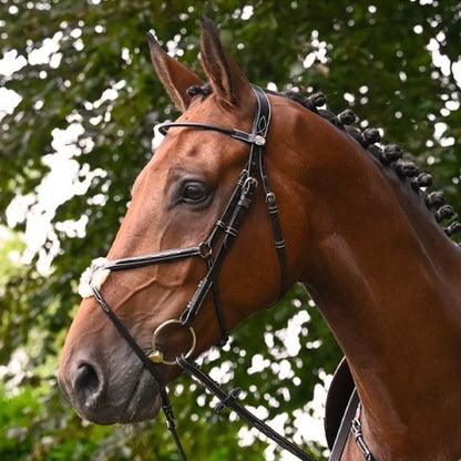Jump'In Monday Bridle Grackle noseband- Week Collection
