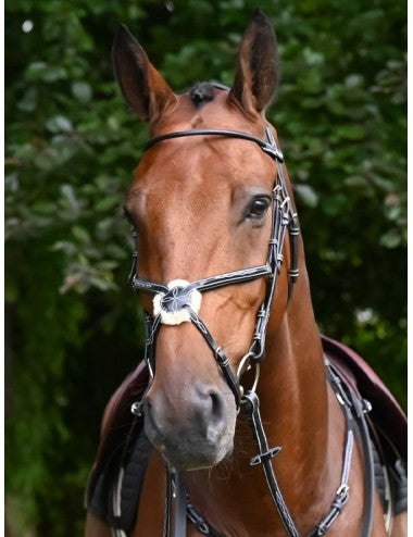 Jump'In Monday Bridle Grackle noseband- Week Collection