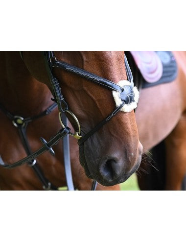 Jump'In Monday Bridle Grackle noseband- Week Collection