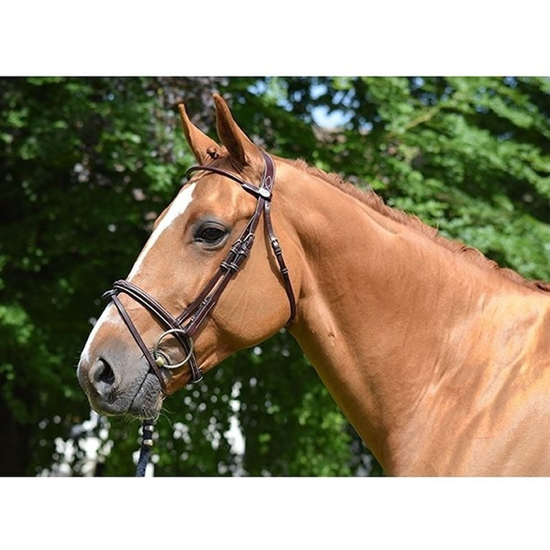 Jump'In Monday Bridle flash noseband- Week Collection