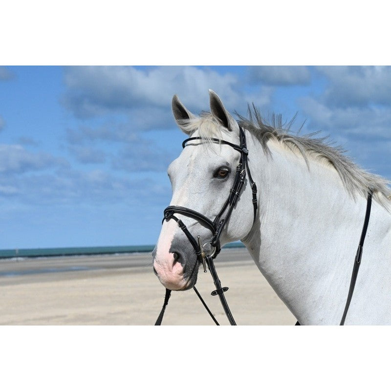 Jump'In Monday Bridle flash noseband- Week Collection