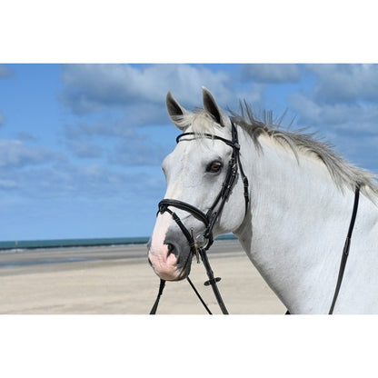 Jump'In Monday Bridle flash noseband- Week Collection