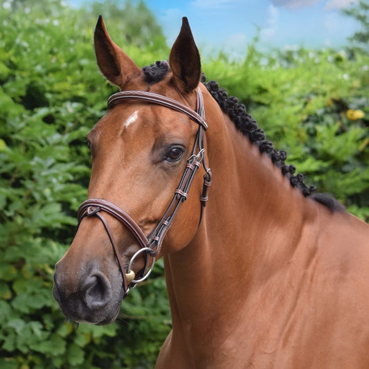 Jump'in Paris Flash Bridle - One Collection