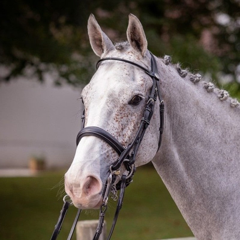 Jump'In Patent Double Bridle - Week Collection