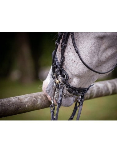 Jump'In Patent Double Bridle - Week Collection