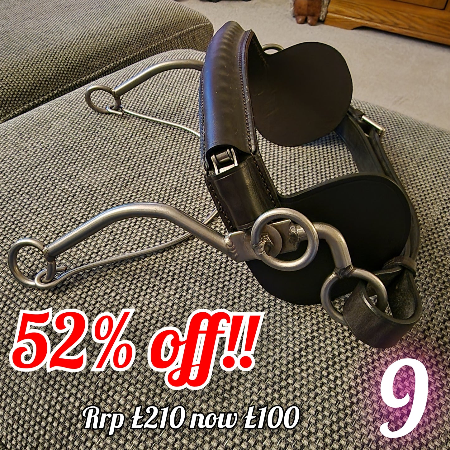 Kate negus Continental hackamore