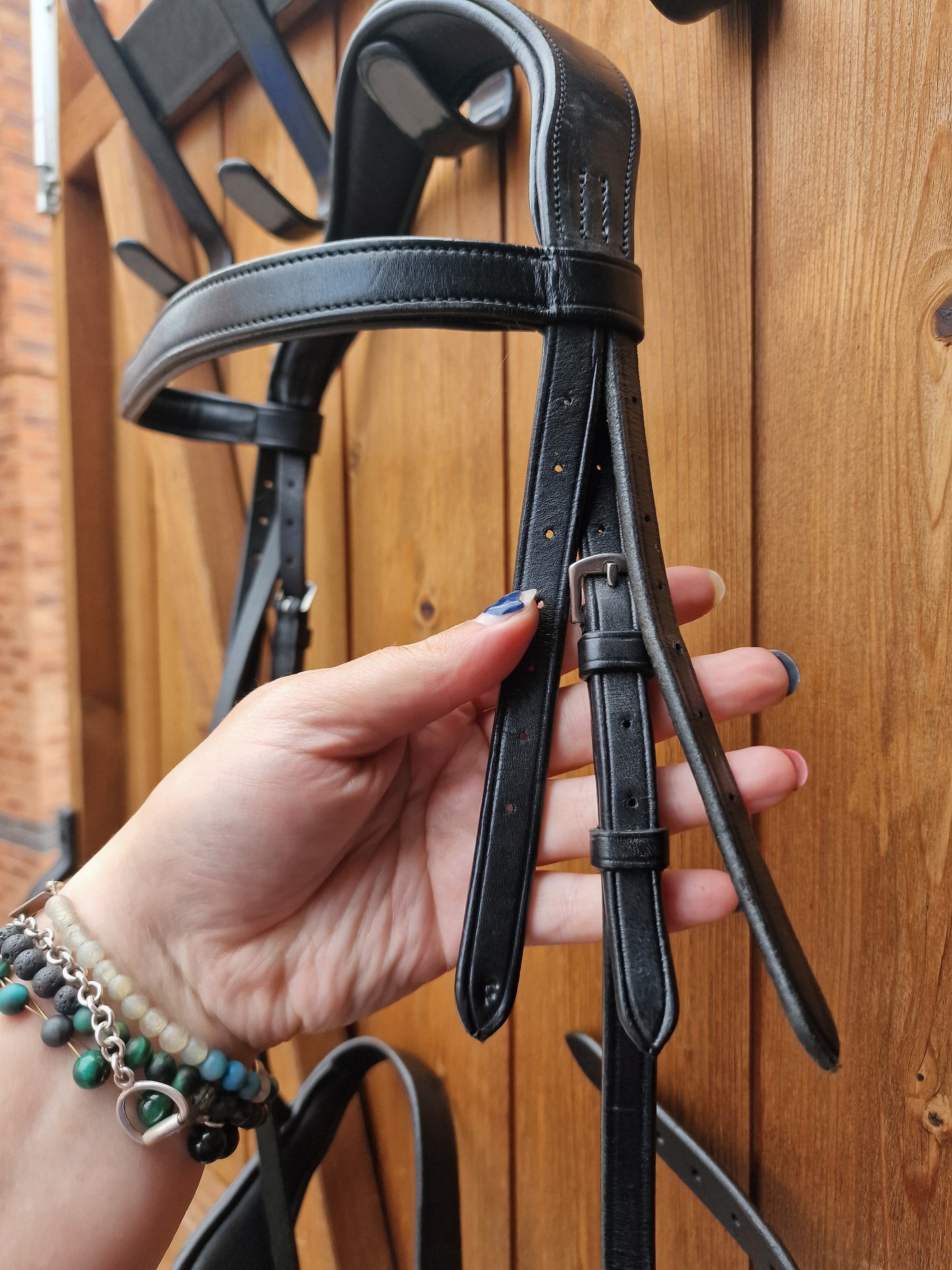 Full black Ecorider Show Comfort hunter, removeable flash Bridle A60